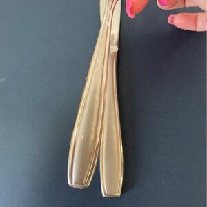 Vtg Oneida Satin Bristol Everdale Salad Dessert Fork Dinner Knife Flatware Set